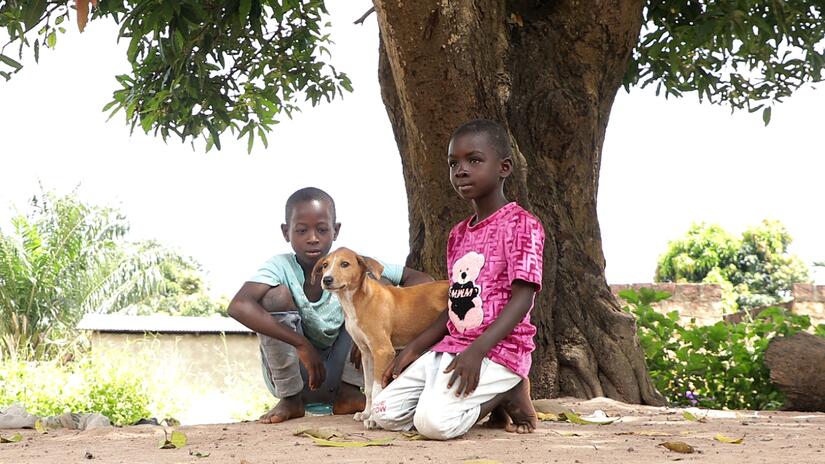 صبيان صغيران في فارانا يلعبان مع كلبهما الأليف. 