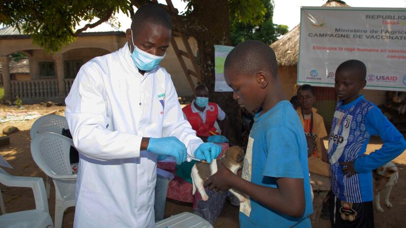 طفل يأخذ جروه إلى فعالية التطعيم ضد داء الكلب في فارانا، غينيا في أكتوبر/تشرين الأول 2023.